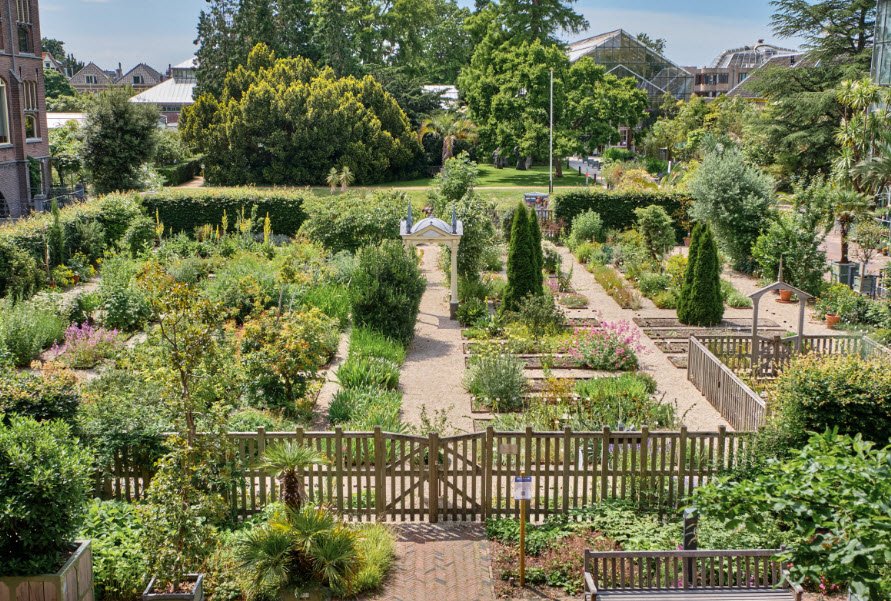 Hortus Botanicus Leiden, Netherlands